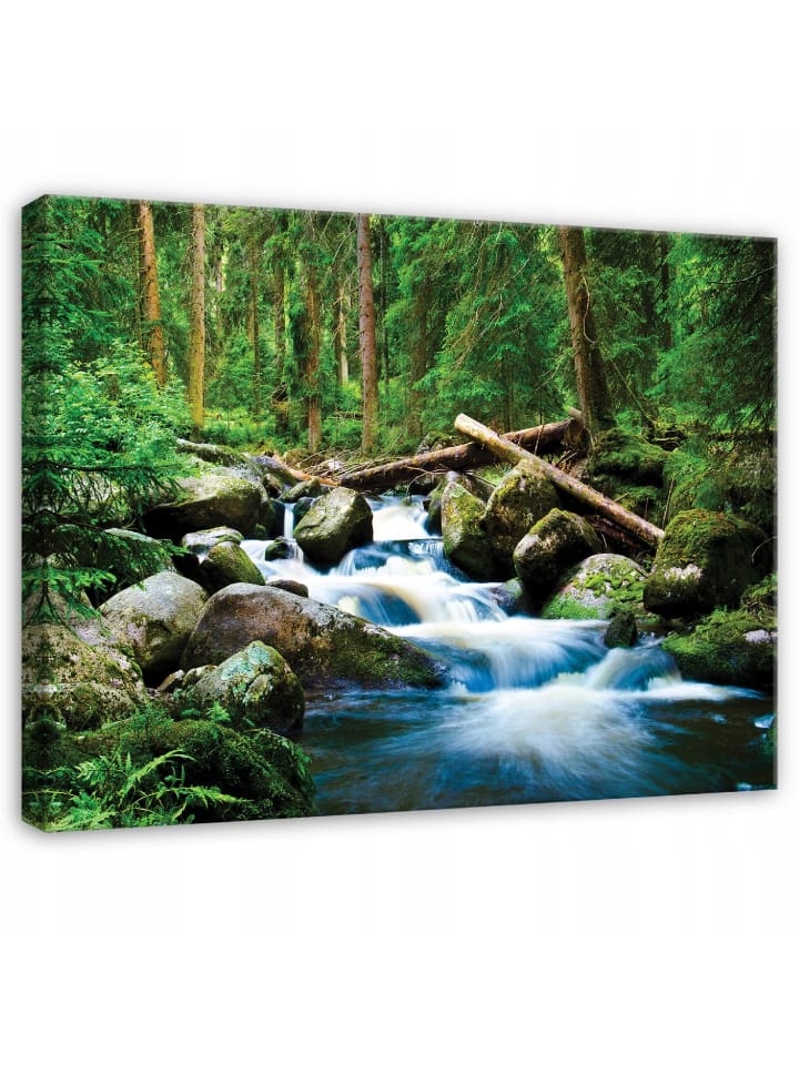 Leinwandbild Wald in Grün