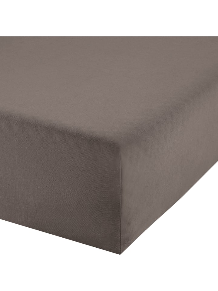Single-Jersey Boxspring-Spannbettlaken Regensburg in braun