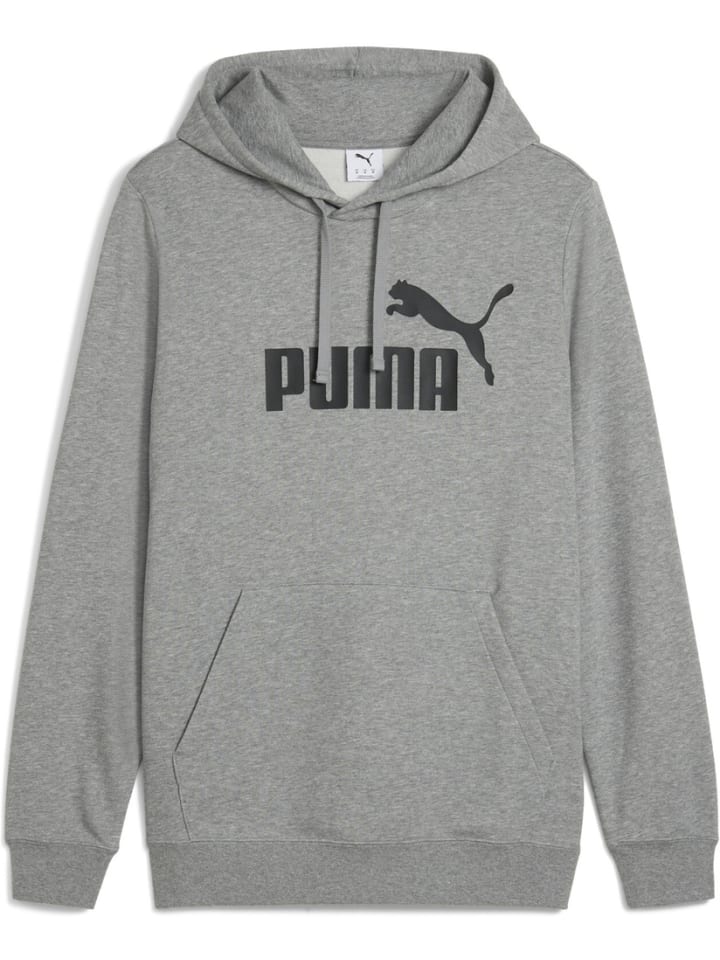 Hoodie "ESS No.1 Logo Hoodie TR" in Grau