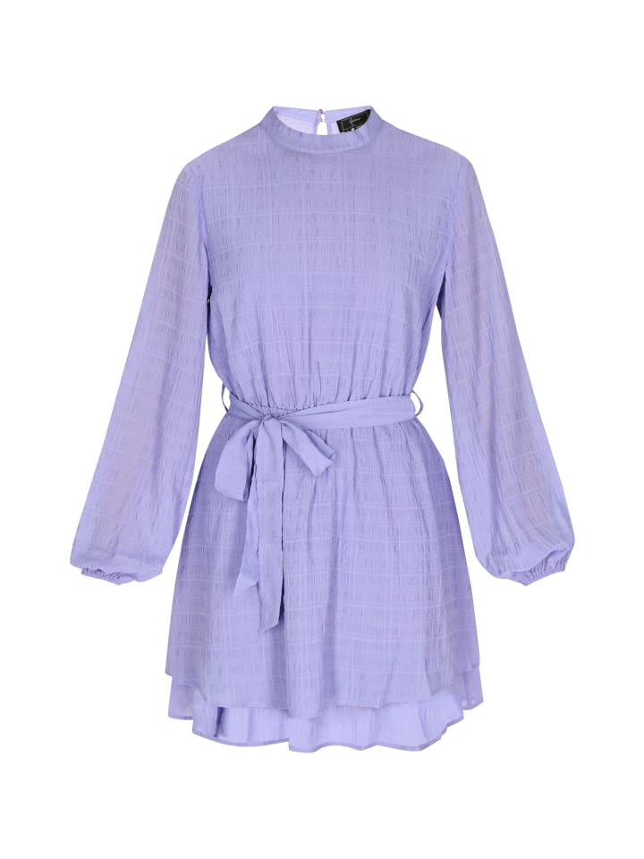 Women Dress in light violet