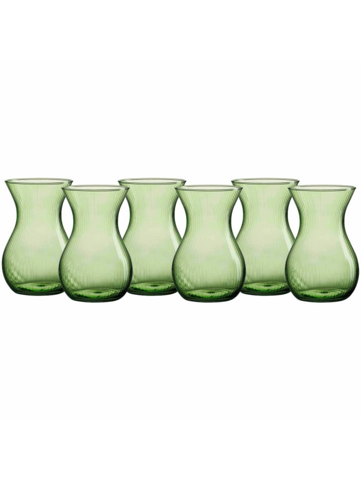 6er Set Vasen Rosalie in 18 cm in Grün