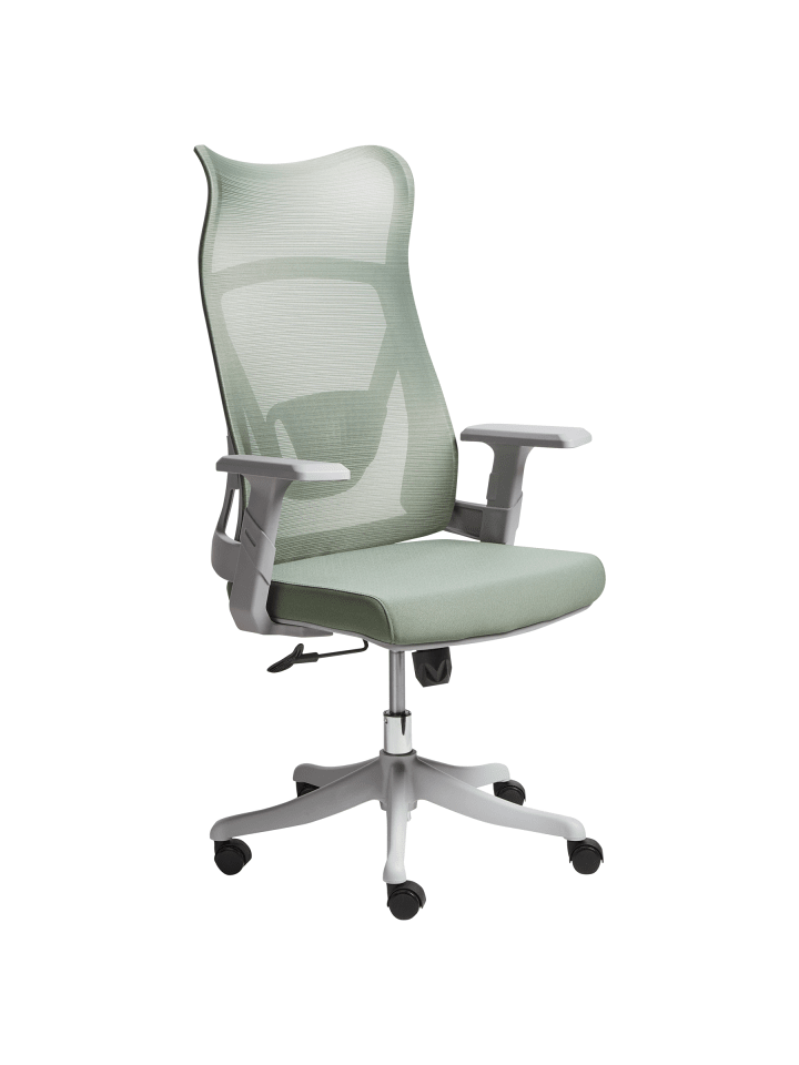 Bürostuhl BARD in Grün/Grau - (W) 50 x (H) 113 x (L) 66 cm