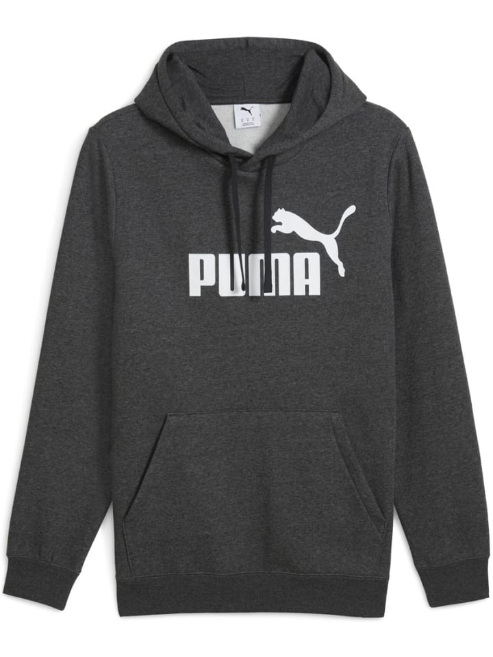 Hoodie "ESS No.1 Logo Hoodie FL" in Grau