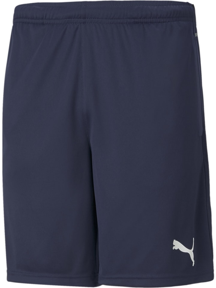 Sporthose "TeamRISE Training Shorts" in Blau