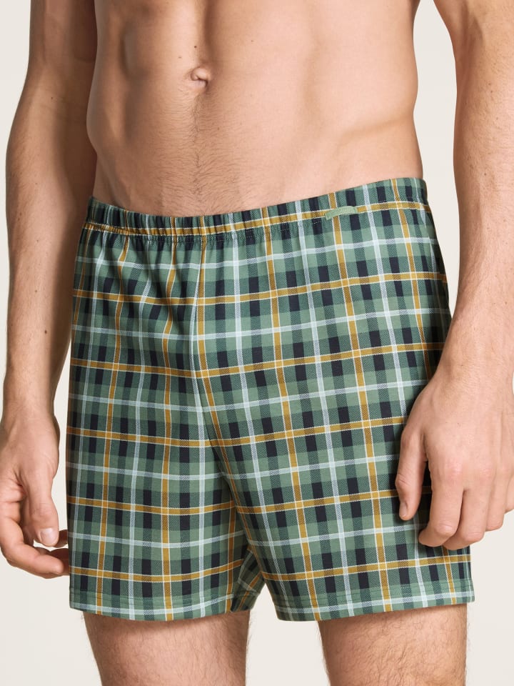 Boxershorts in laurel green
