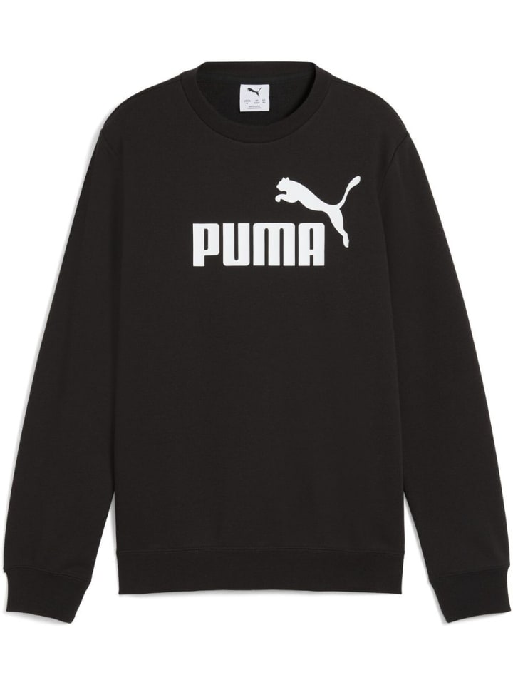Pullover "ESS No.1 Logo Crew TR B" in Schwarz