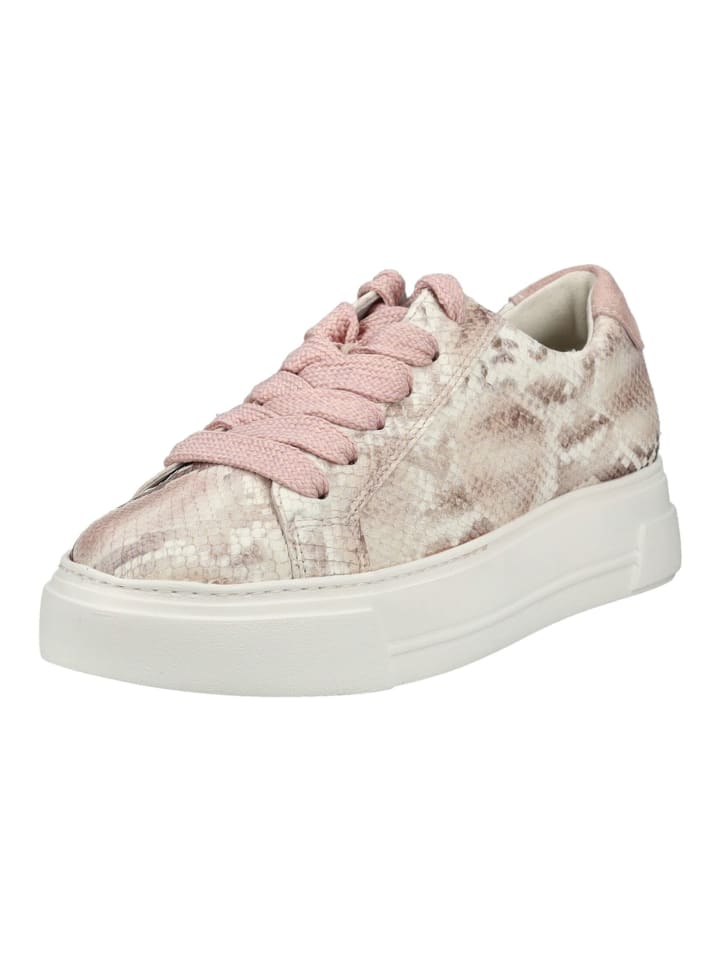 Sneaker Rose