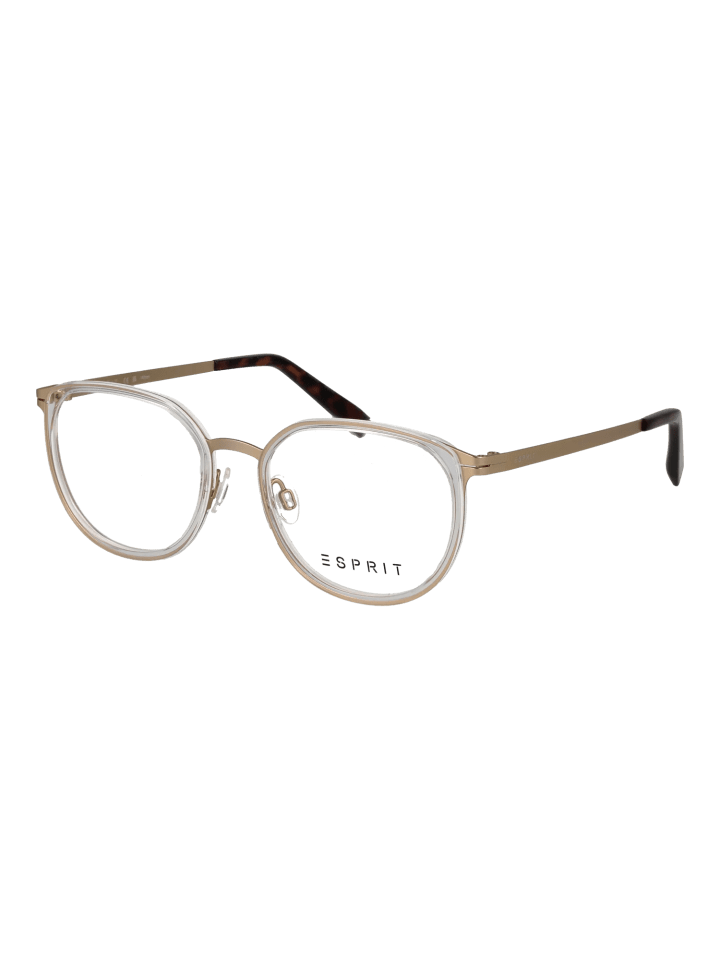 Damen Optische Fassungen Panto Transparent