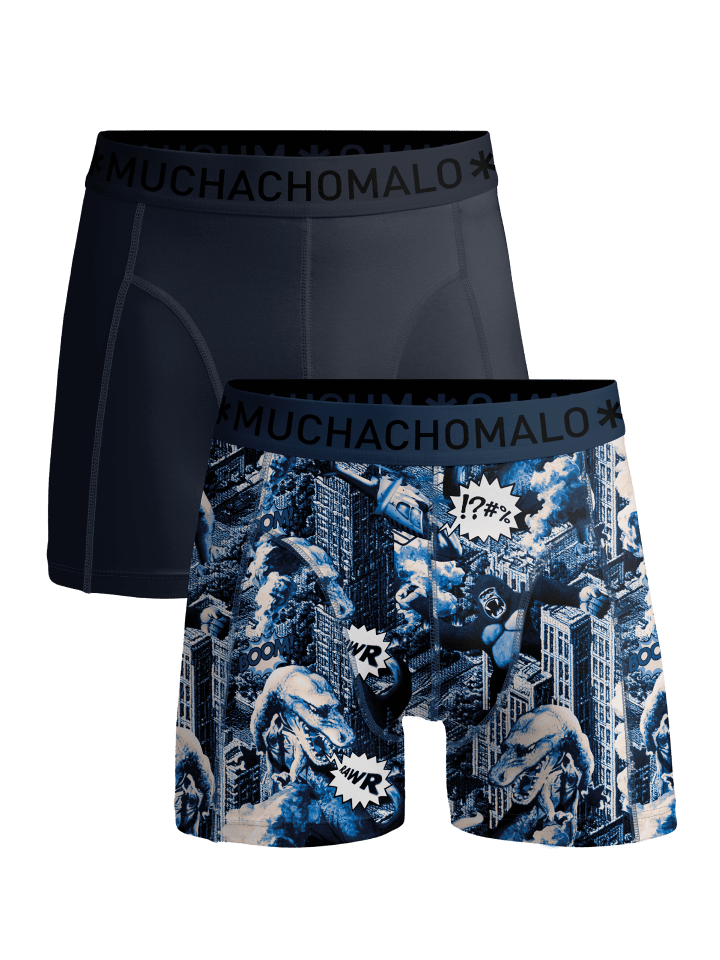 2er-Set: Boxershort in Mehrfarbig - für Herren
