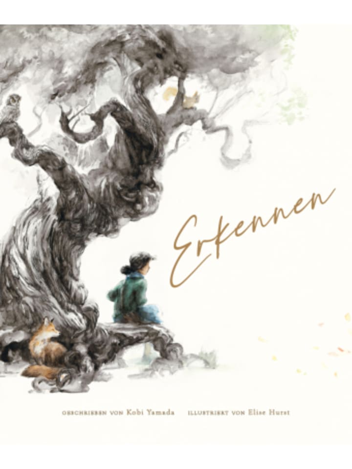Buch - Erkennen