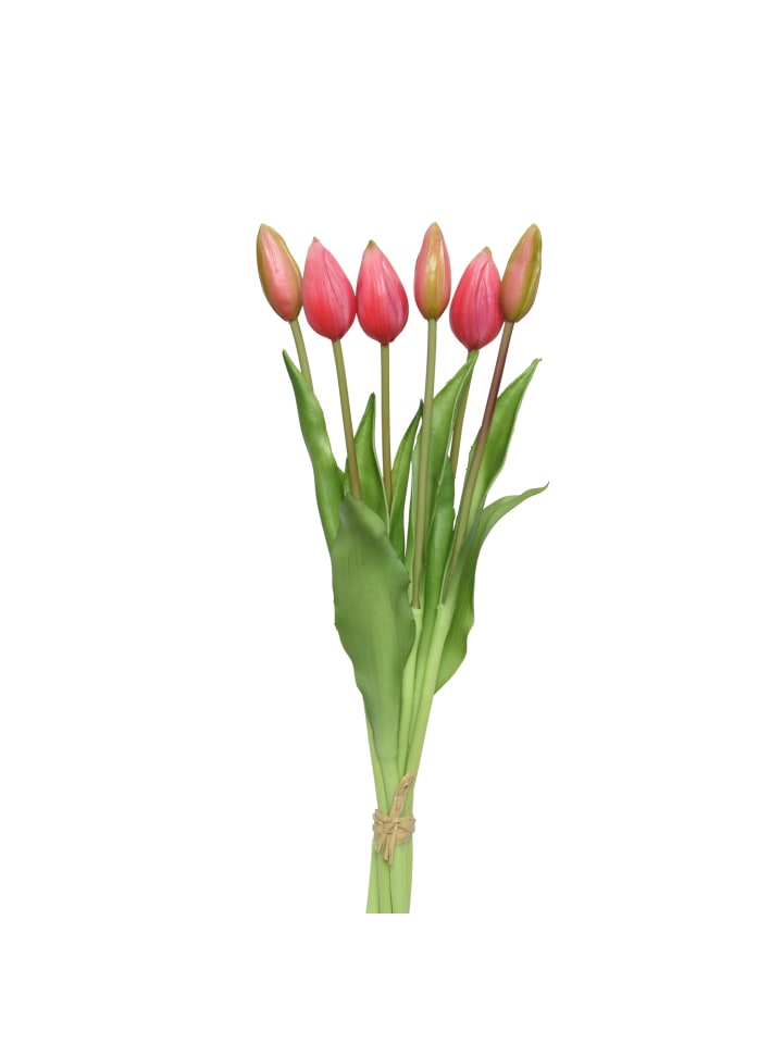 Tulpenbund mit 6 Blüten in rosa - H: 40cm