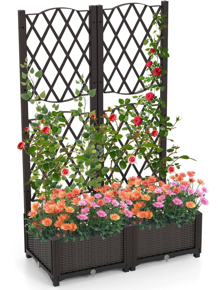 Blumenkasten mit Rankgitter in Braun