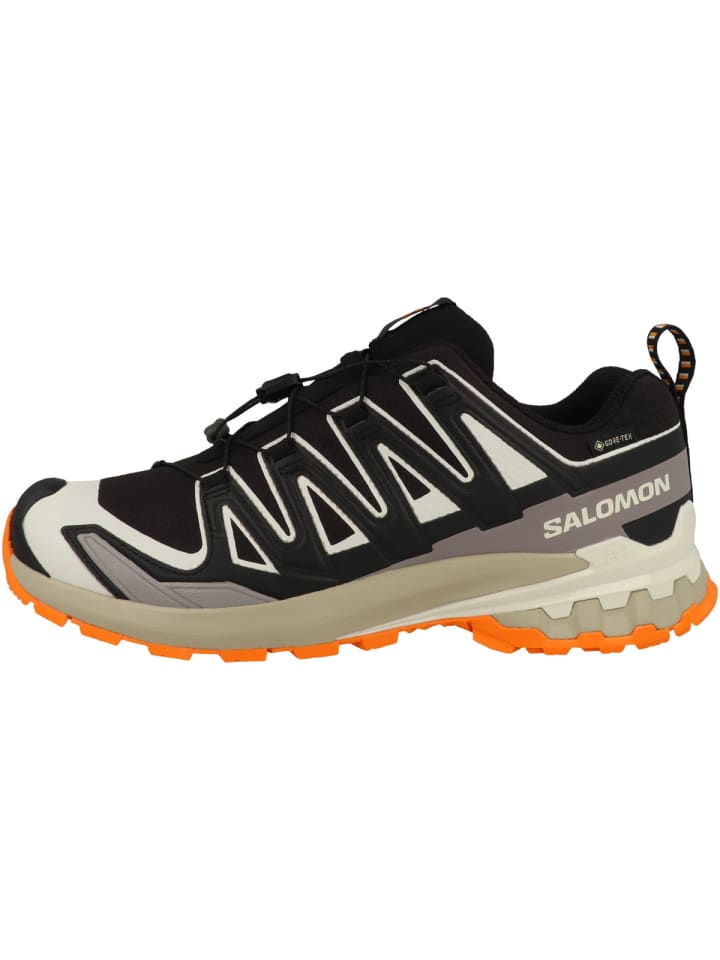 Laufschuhe XA PRO 3D V9 GTX in schwarz