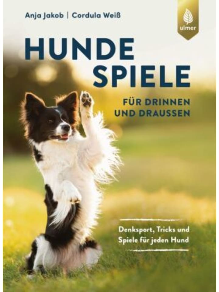 Buch - Hundespiele für drinnen und draußen