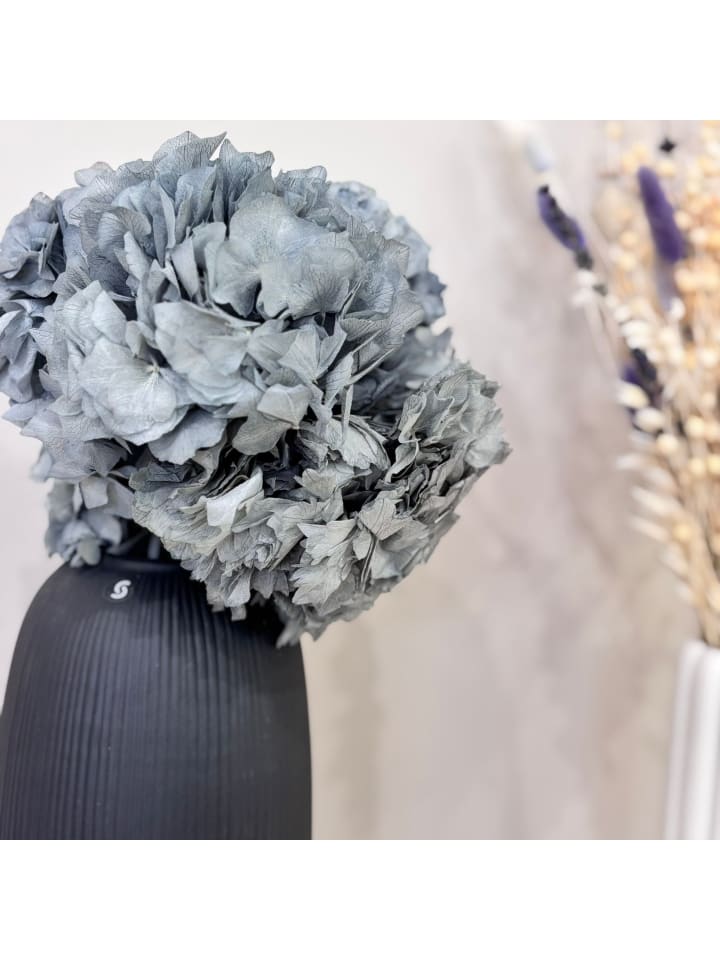 Trockenblumen Hortensie in Hellblau - (H) 30cm