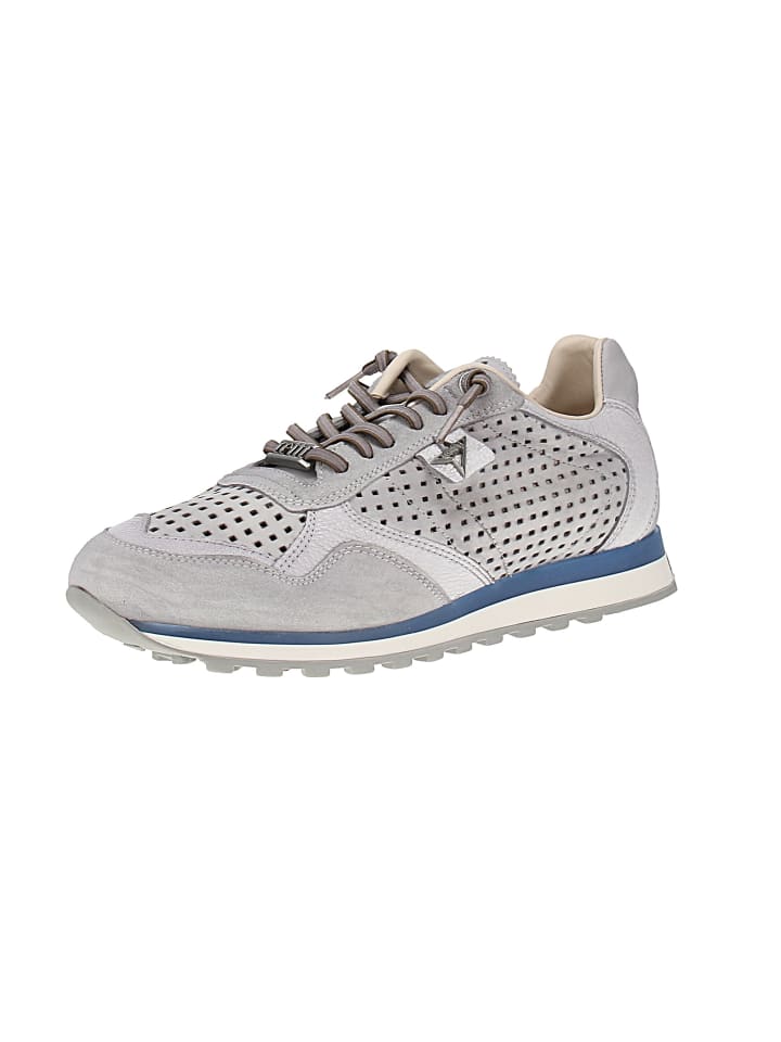 Sneaker low C-848 V25-26 in Grau