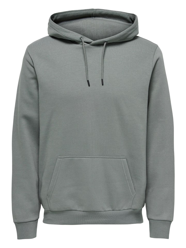 Sweatshirt / Hoodie Ceres in Castor gray