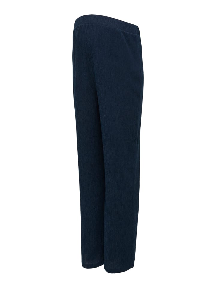 Hose in Navy Blazer 1