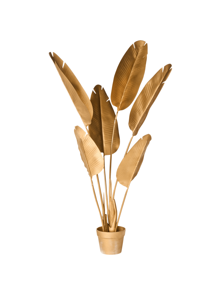 Kunstpflanze BANANA TREE in Gold - (W) 60 x (H) 123 x (L) 60 cm