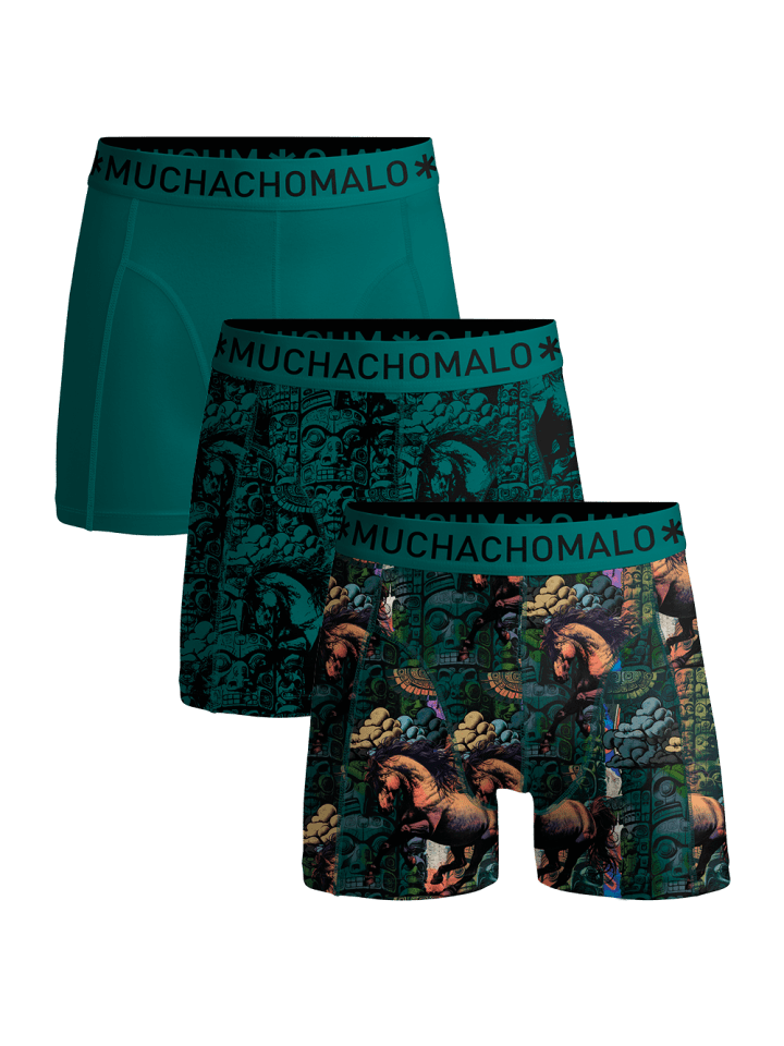 3er-Set: Boxershort in Mehrfarbig - für Herren