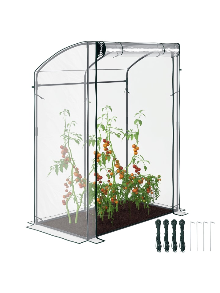 Gewächshaus in Transparent 128L x 70B x 170H cm