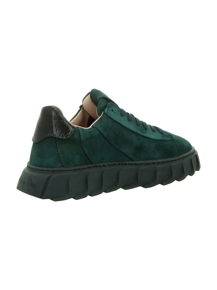 Apple of Eden Plateau Sneaker in Grun gunstig kaufen limango