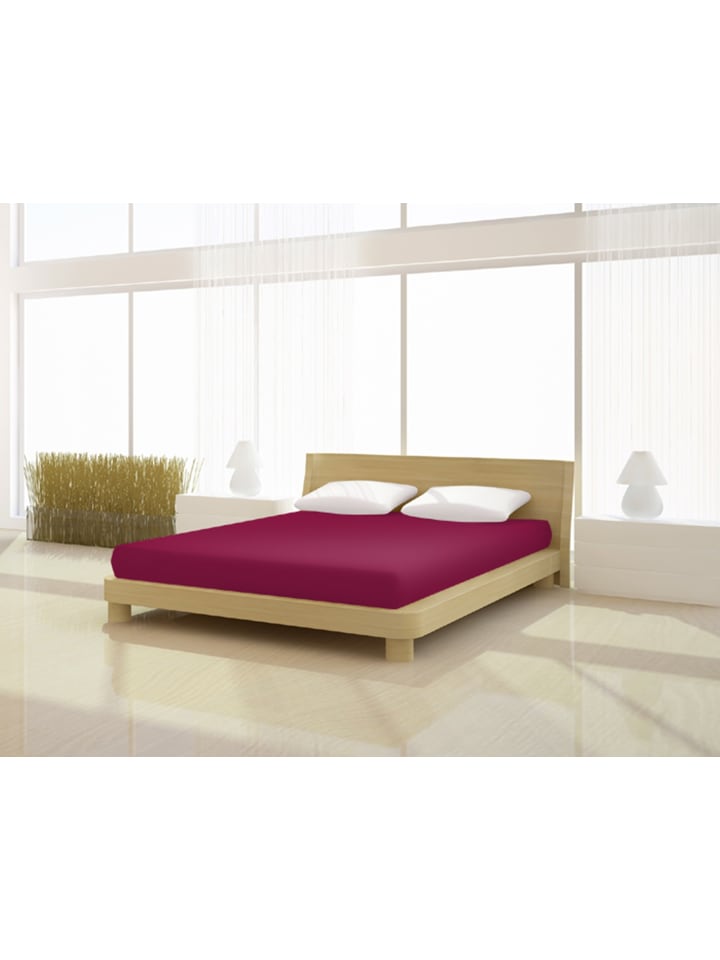 Spannbetttuch Jersey basic 180 - 200 x 200 cm in brombeer