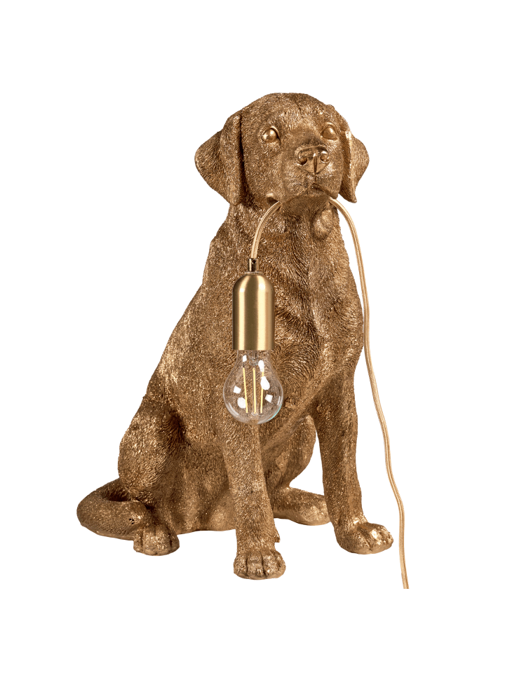 Tischleuchten MARLEY in Gold/Messing - (W) 26 x (H) 49 x (L) 34 cm