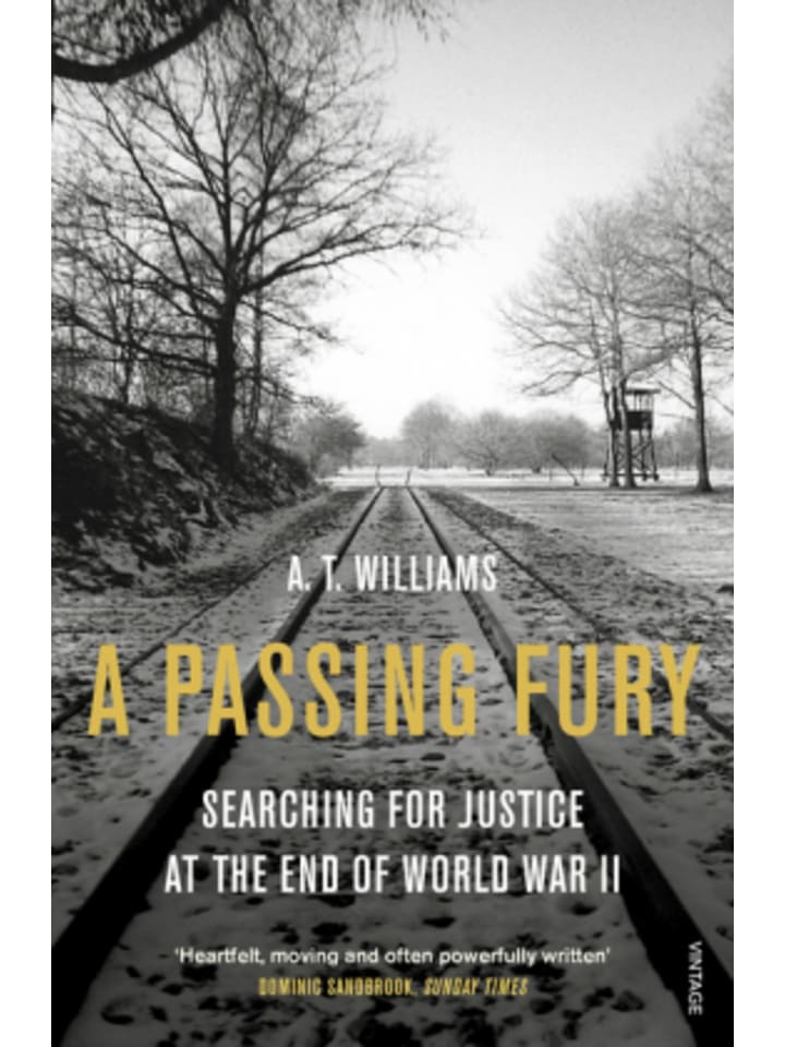 Buch - A Passing Fury