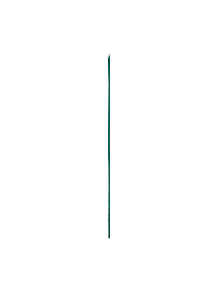 50 x Pflanzstäbe in Dunkelgrün - (H)30 x (D)0,5 cm
