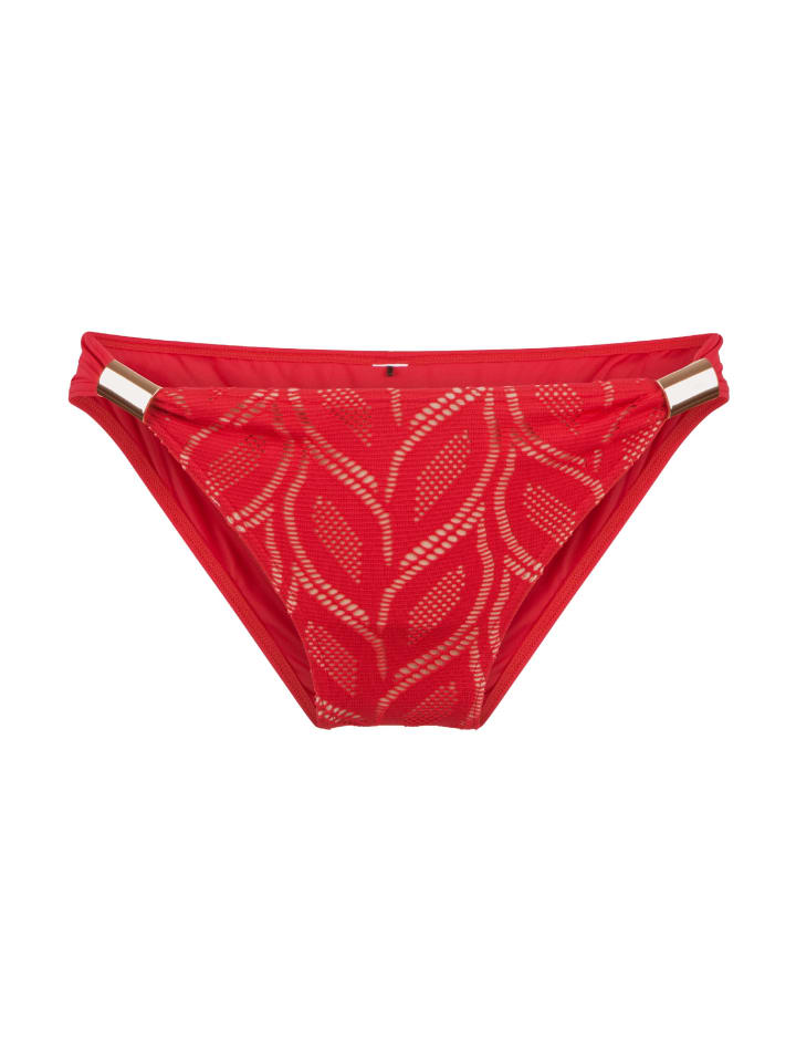Bikini Slip Rot