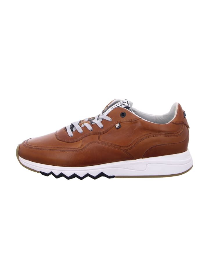 Sneaker Low in Braun