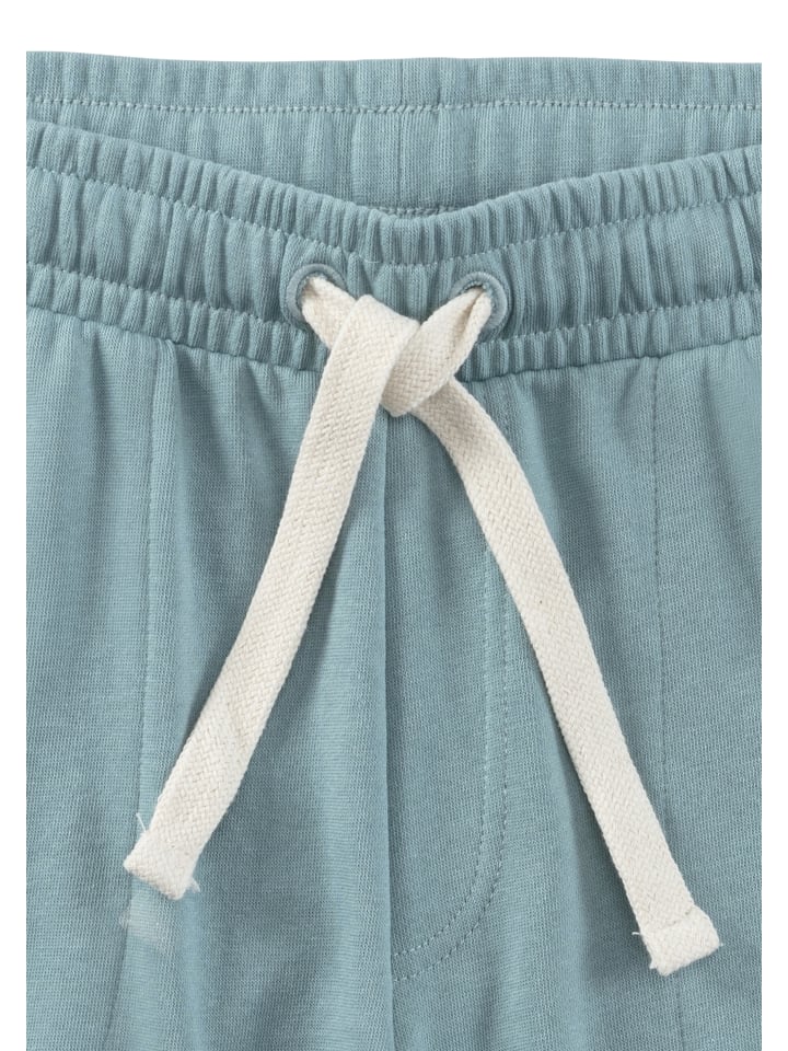 Sweatshorts in mint