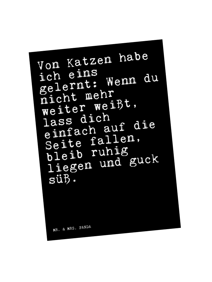 Postkarte Von Katzen habe ich... mit Spruch in Schwarz