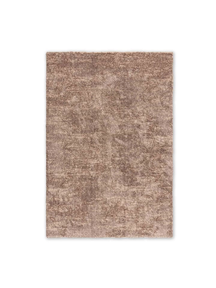 Hochflorteppiche SALERNO 1 in Taupe