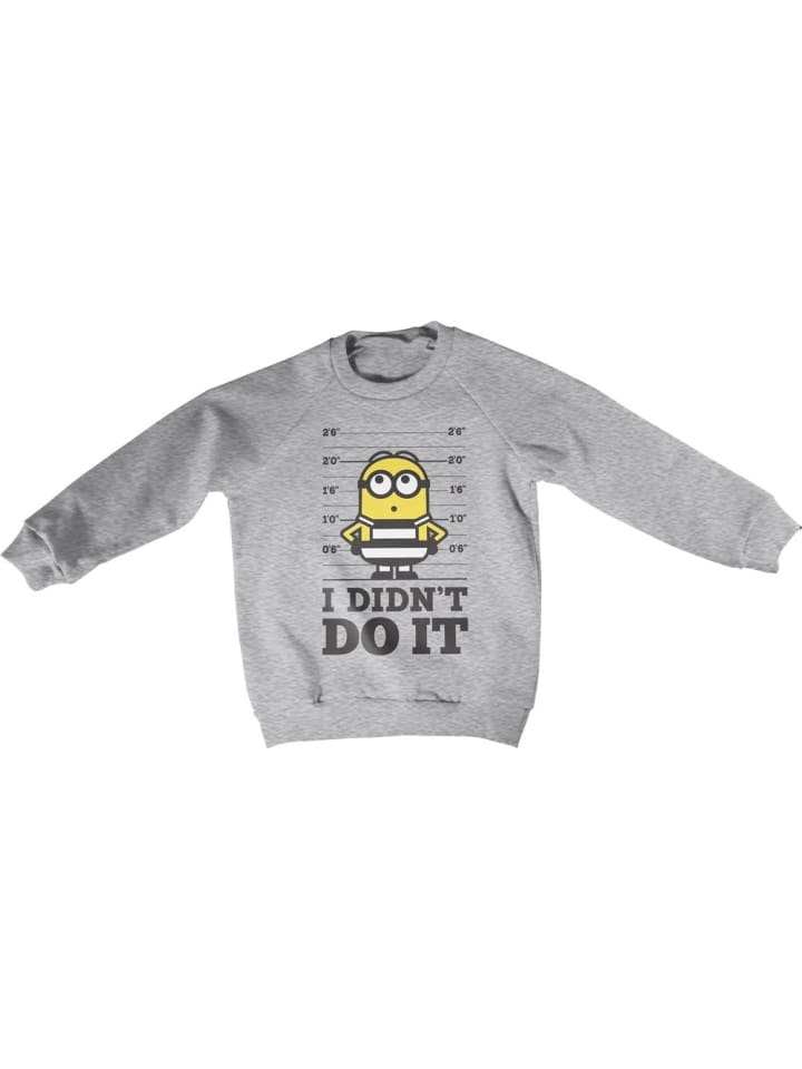 Kinder Sweatshirt in Grau
