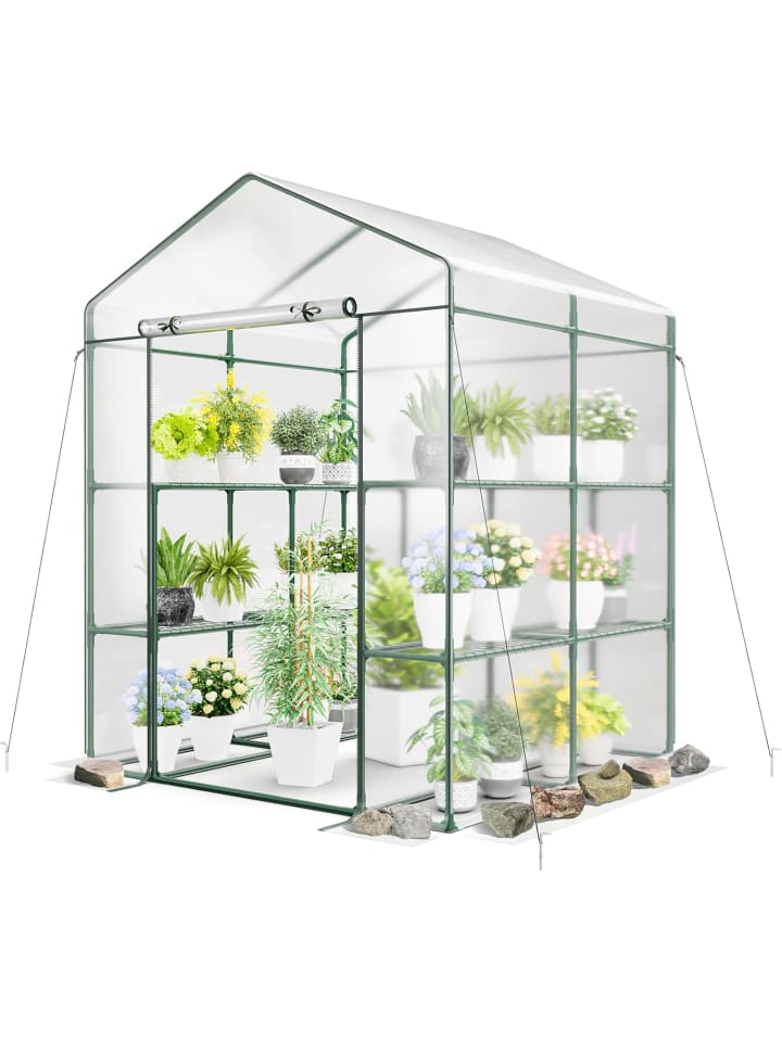 Gewächshaus 139 x 144 x 195 cm in Transparent
