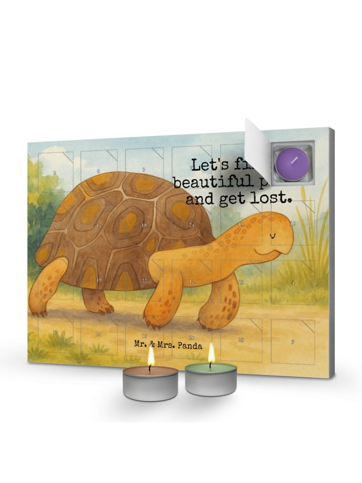 Adventskalender Schildkröte MHerzieren Design ... in Weiß