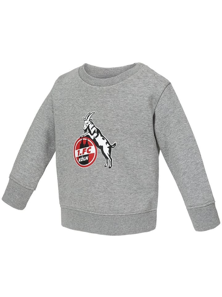 Kinder Sweatshirt "Sweatshirt Basic" in Grau