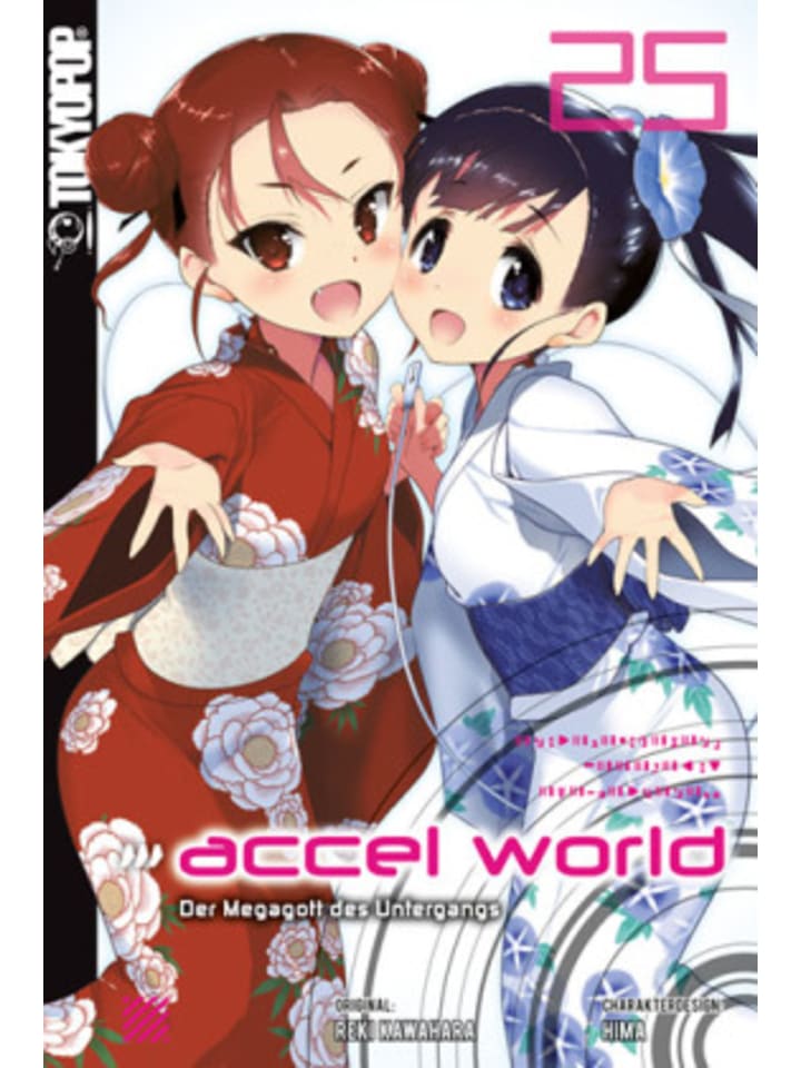 Buch - Accel World - Novel 25