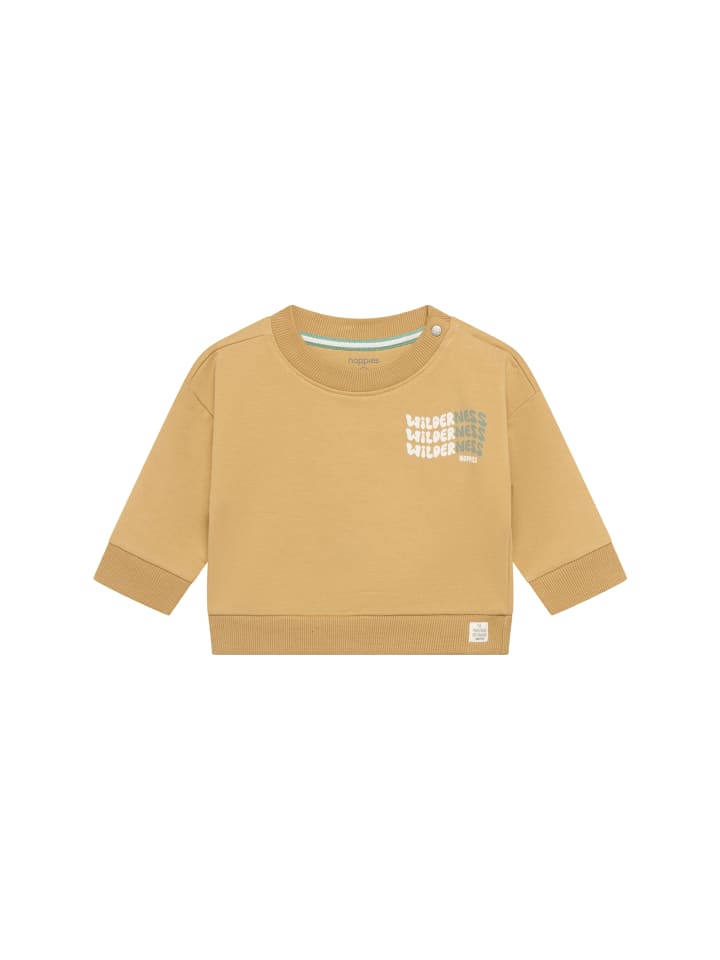 Sweater in Lark