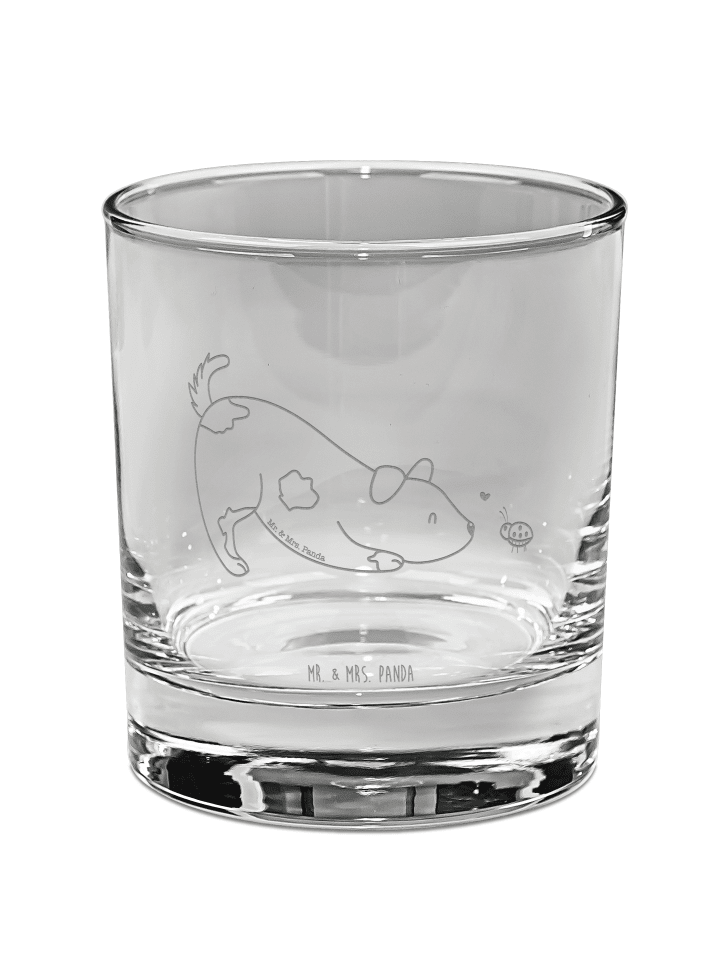 Tumbler Glas Hund Marienkäfer ohne Spruch in Transparent