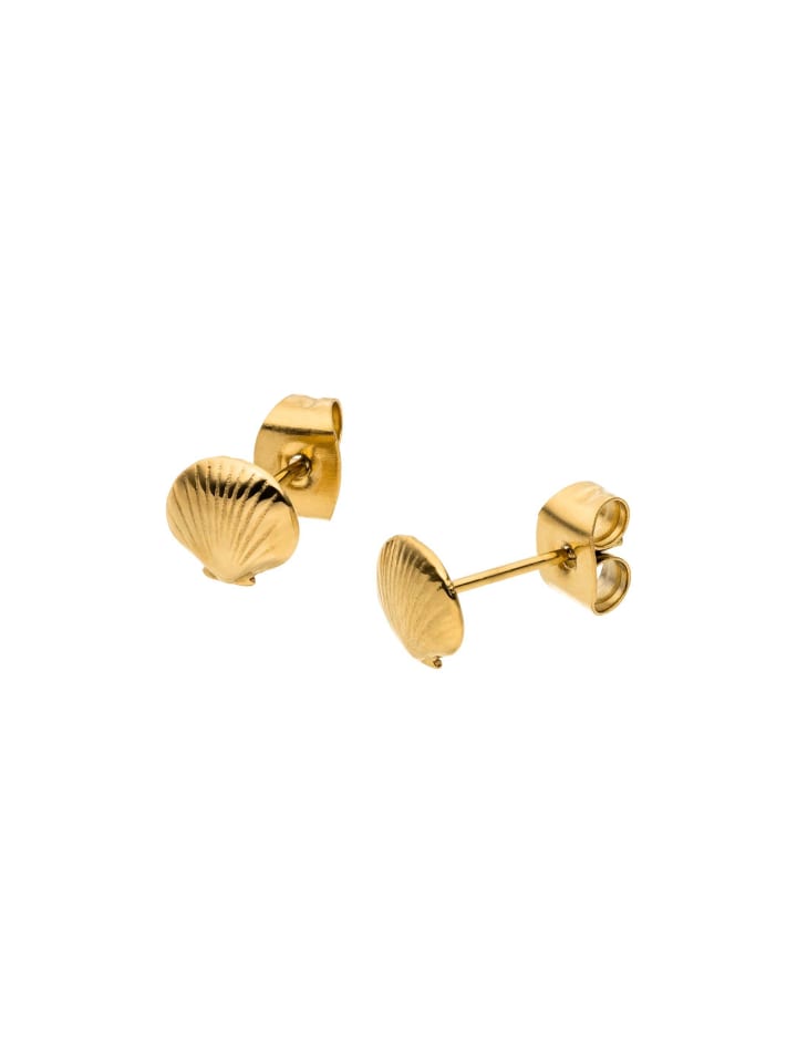 Ohrringe Seashell Gold