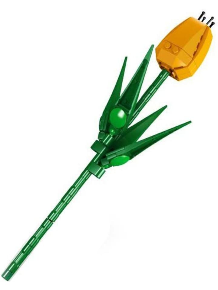 Tulpe in Orange ab 8 Jahre