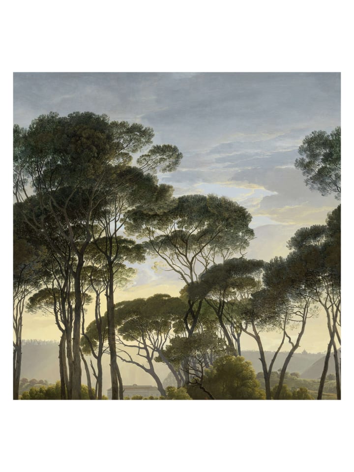 Tapete Landschaft in Grün - (W) 180 × (L) 260 cm
