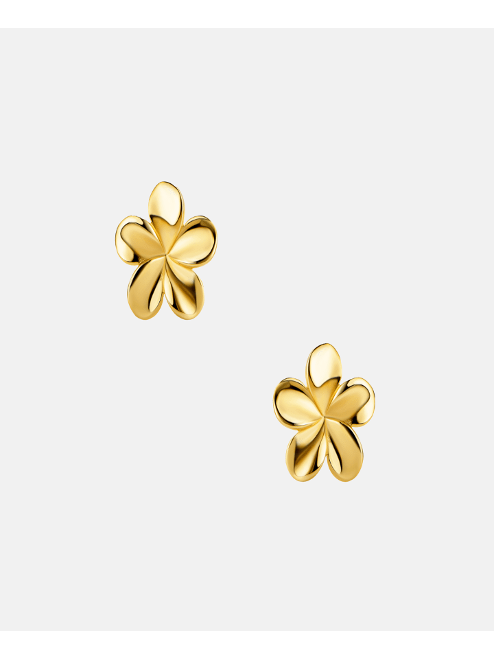 Ohrringe aus 585 Gelbgold