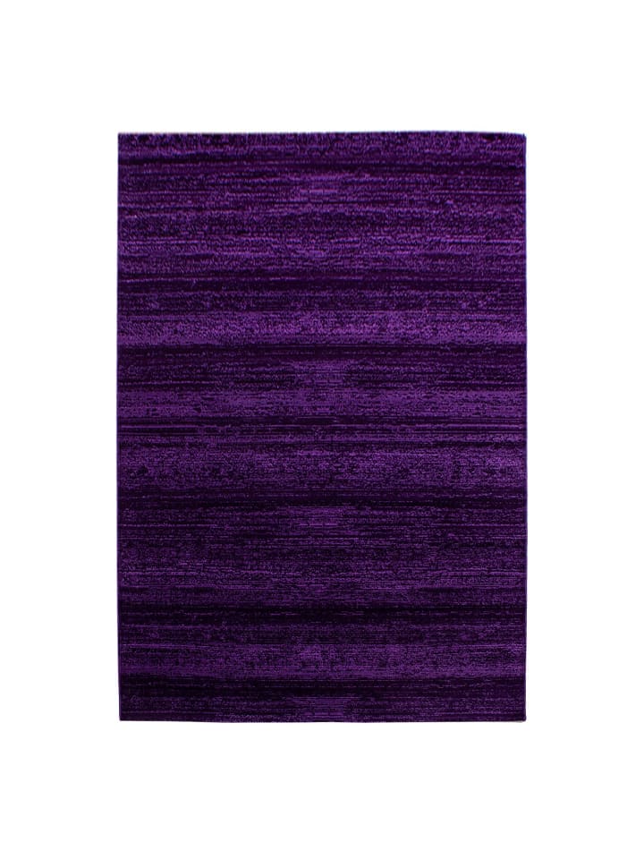 Kurzflor Teppich Pago in Lila