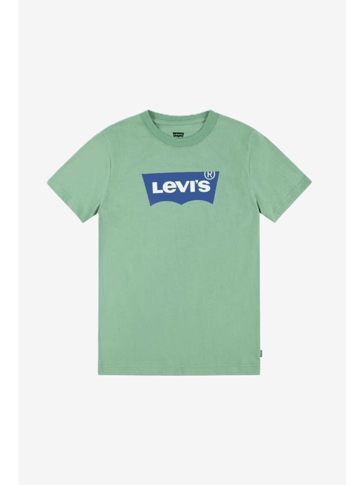 T-Shirt 10850743746902 Grün