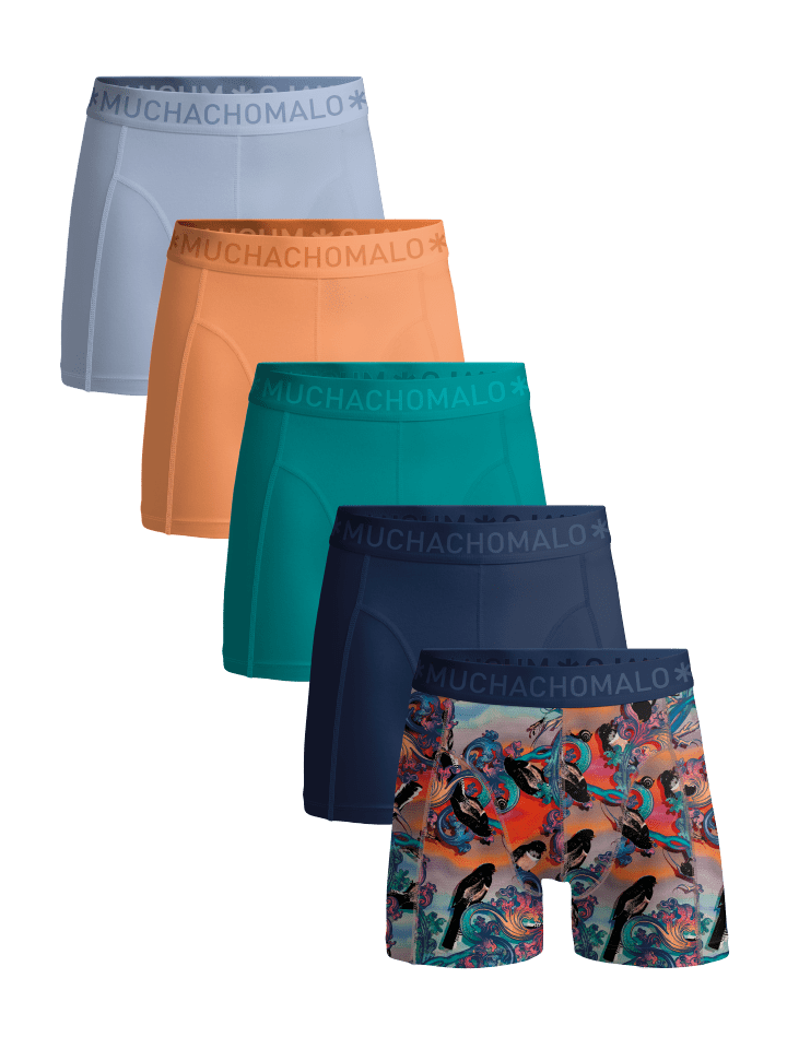 5er-Set: Boxershort in Mehrfarbig - für Herren