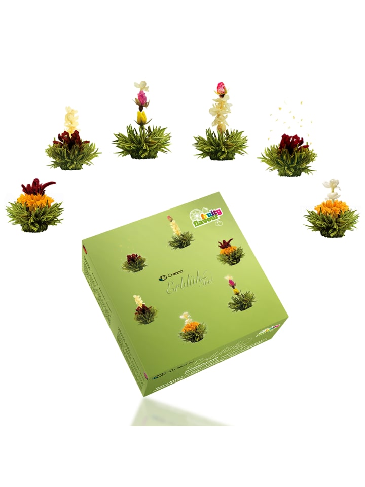 6er Box ErblühTee Grüntee Fruity Flavor